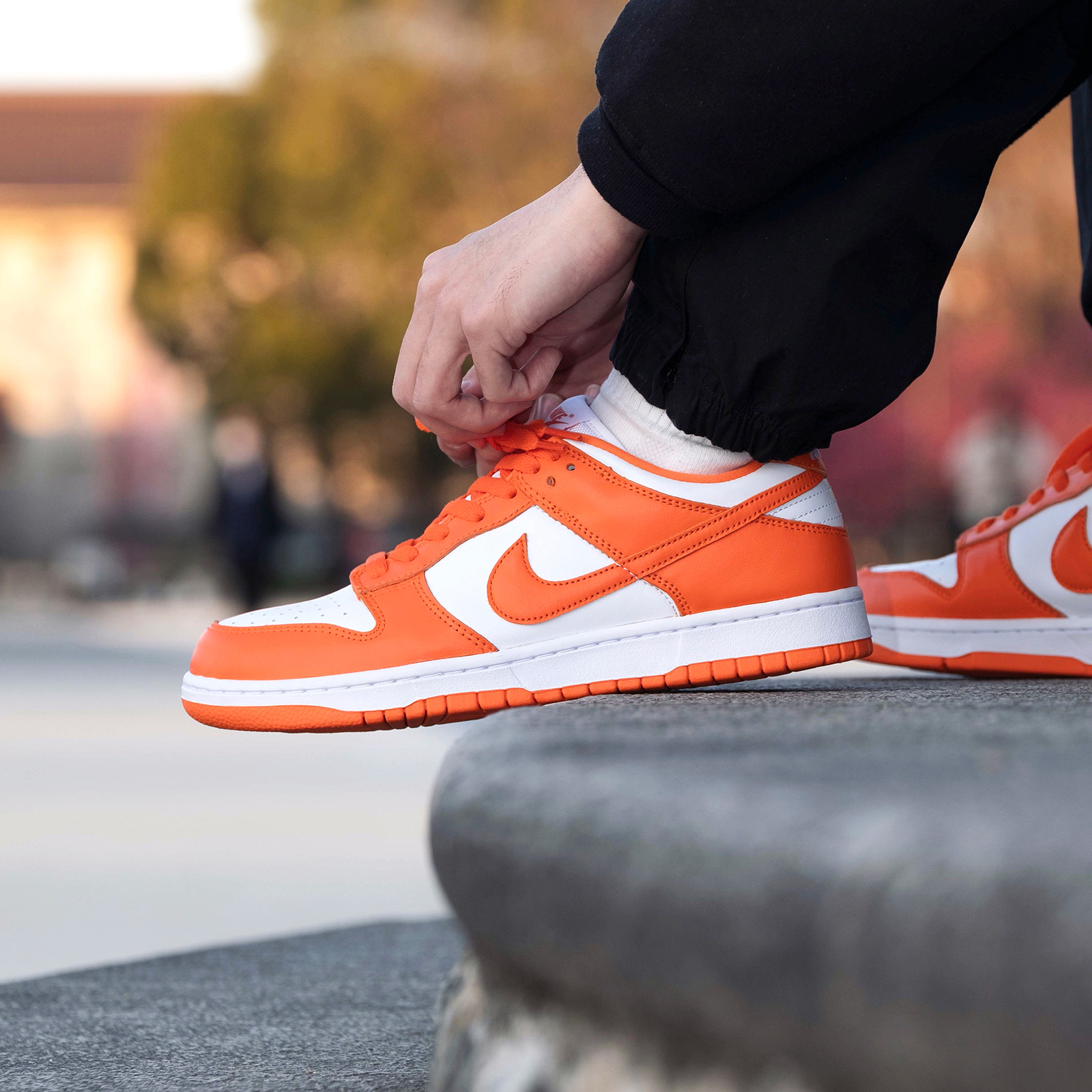 NIKE DUNK LOW SP SYRACUSE 27.5cm - スニーカー