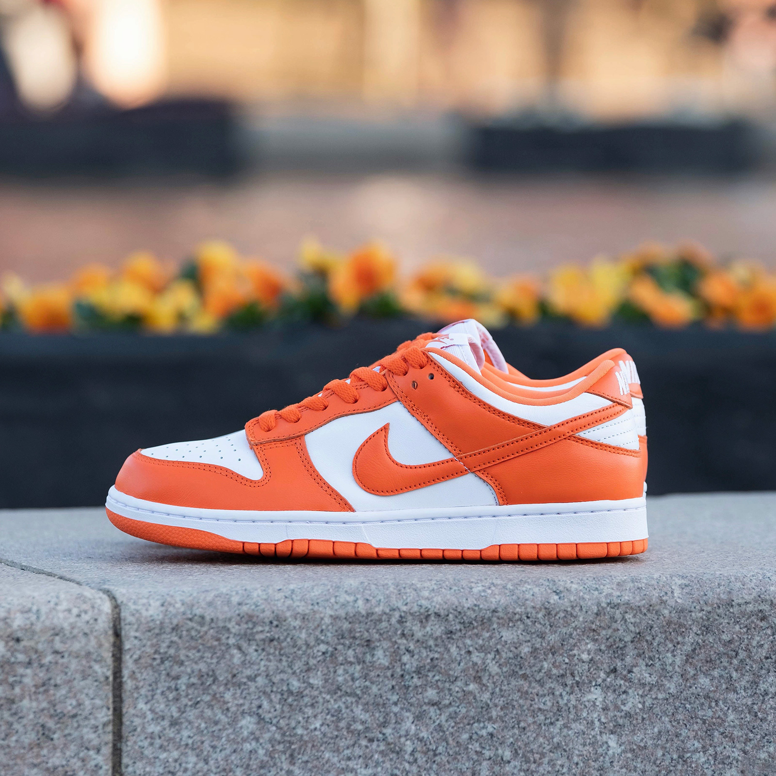 2020-03-06-21.14のイメージ-001