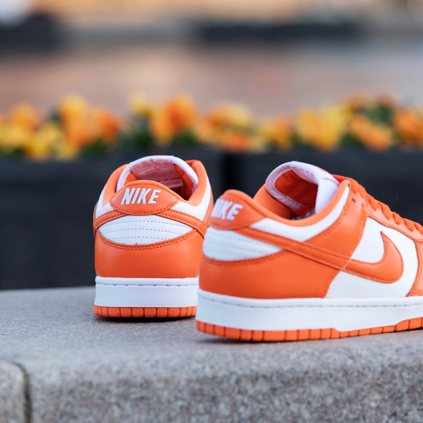 2020-03-06-21.22のイメージ-001